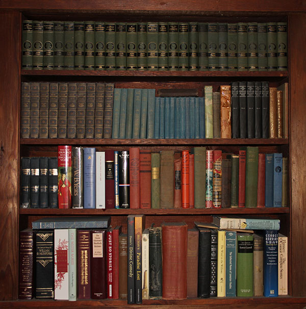 Bookshelf full of books